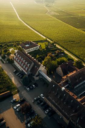 Luftaufnahme des Leinsweiler Hofs mit Pool, umgeben von Weinbergen.