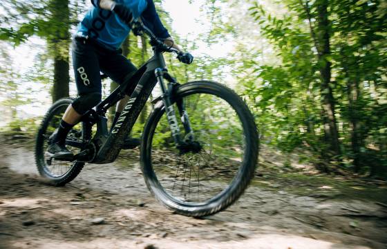 Mountainbiker fährt beim Aktivurlaub am Schwarzwald mit Tempo über einen schmalen Waldtrail zwischen grünen Bäumen und Lichtflecken.