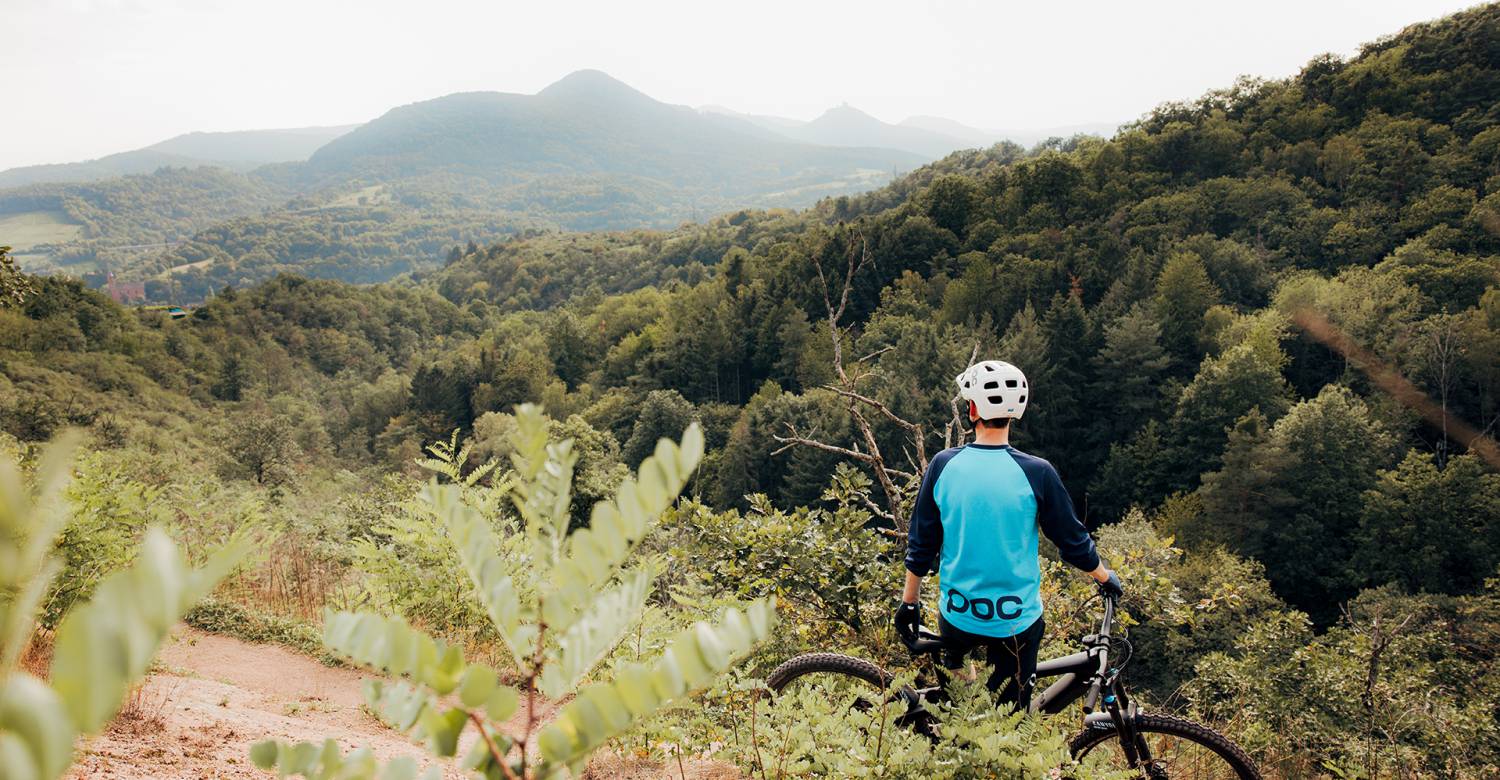 Mountainbiken in der Pfalz