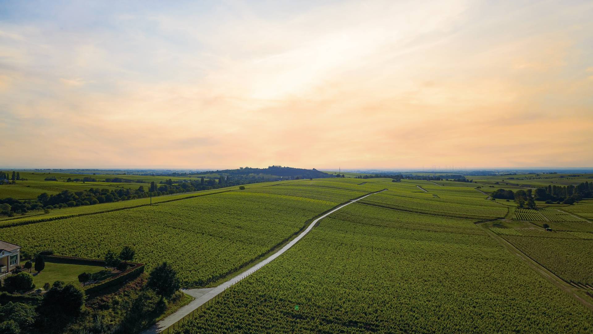 Die Pfalz beim Leinsweiler Hof Panorama