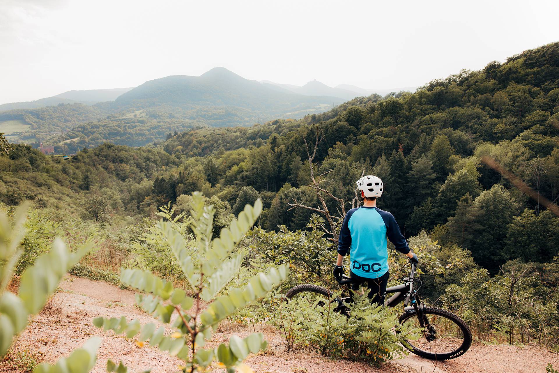 Mountainbiken in der Pfalz