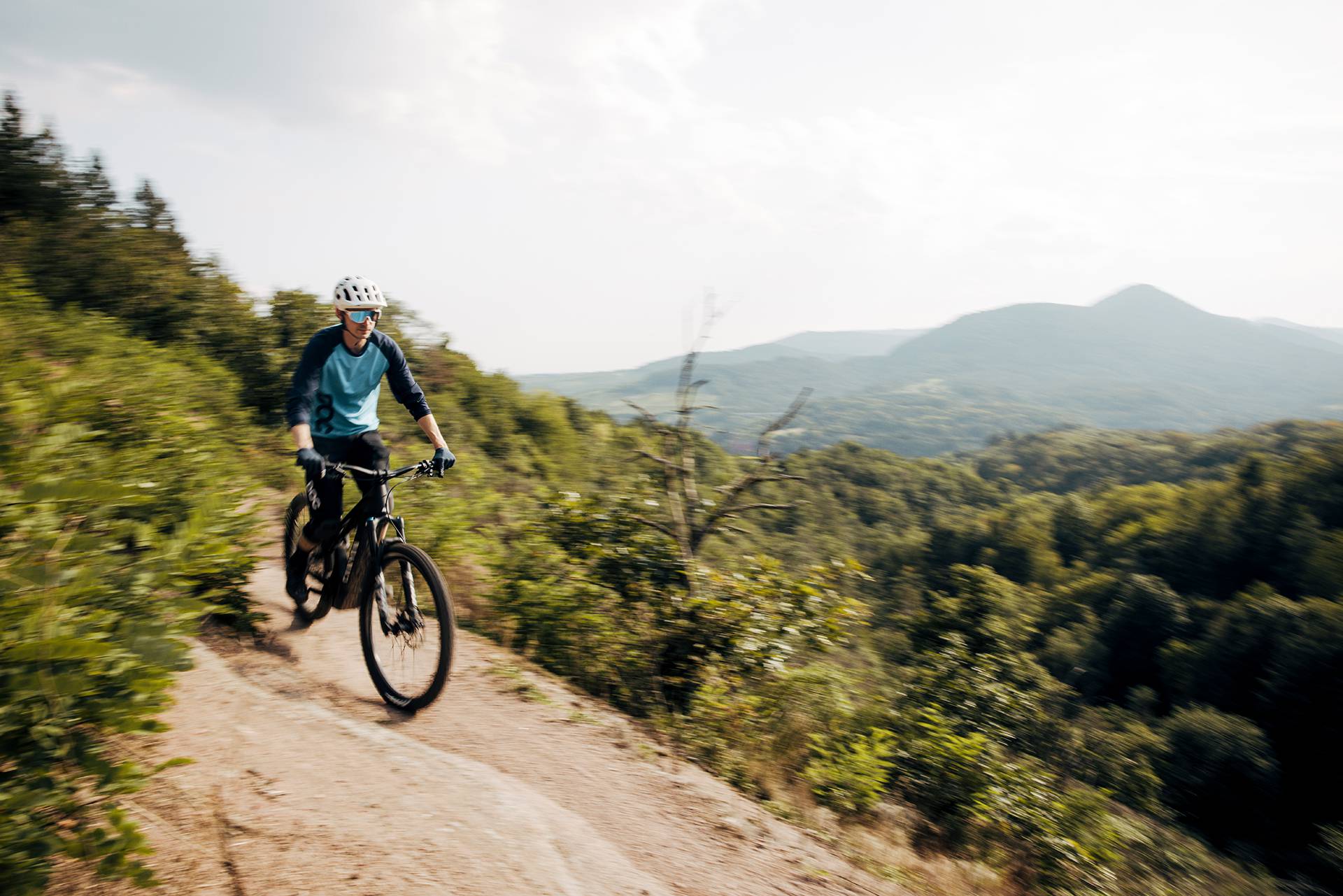 Mountainbiken in der Pfalz