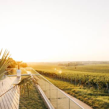 Terrasse mit Panorama Leinsweiler Hof