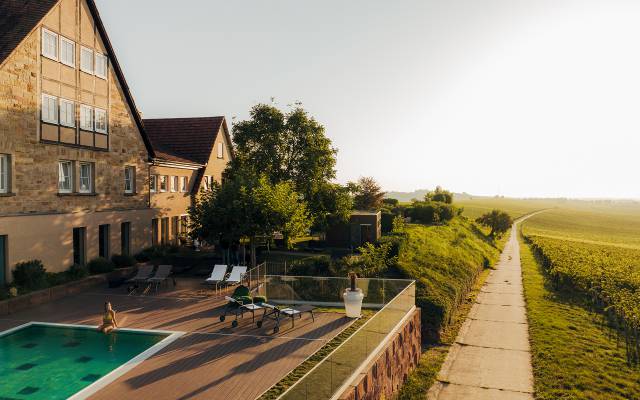 Leinsweilerhof Pool mit Blick auf Weinreben