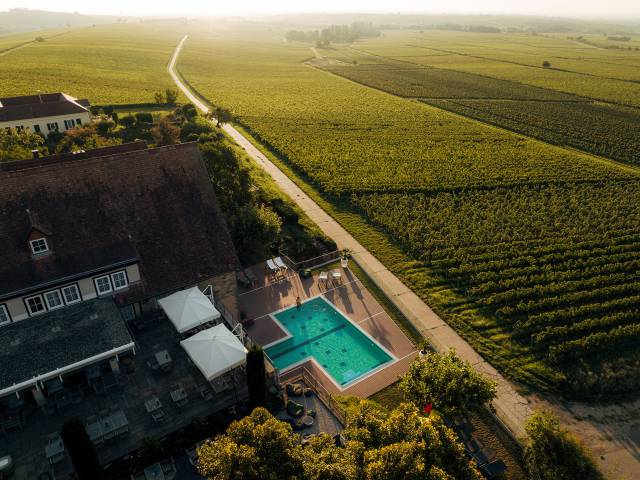 Hotel Leinsweiler Hof mit Blick auf die Reben