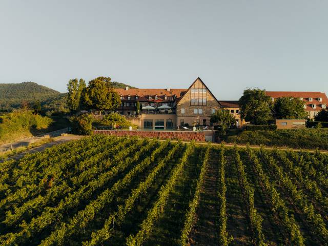 Hotel Leinsweiler Hof in der Pfalz