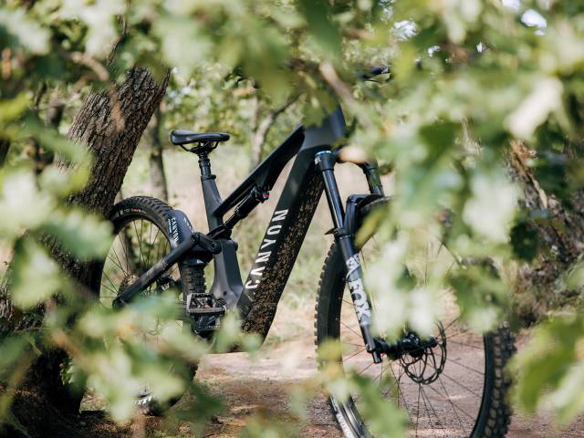 Mountainbiken in der Pfalz