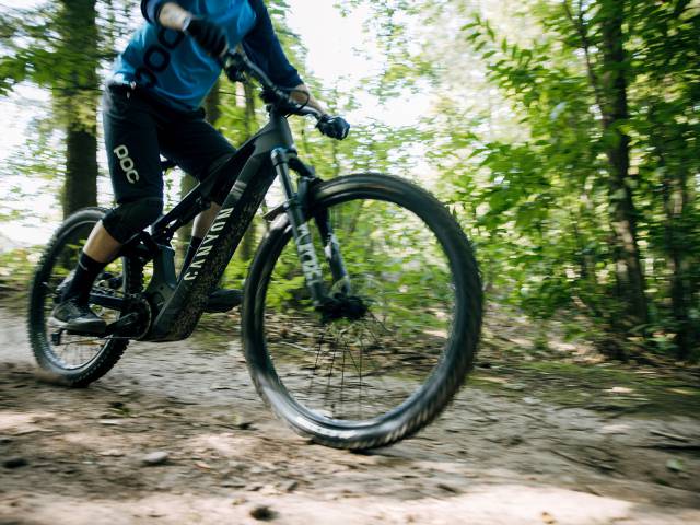 Mountainbiken in der Pfalz