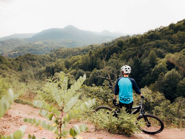 Mountainbiken in der Pfalz