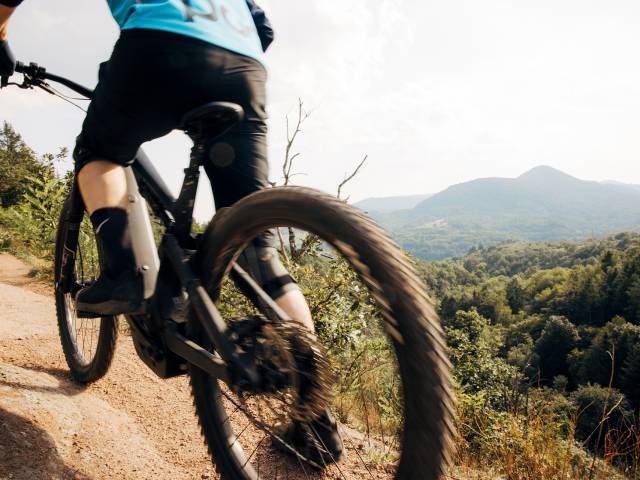 Mountainbiken in der Pfalz