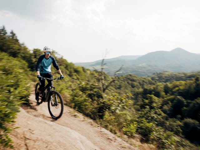 Mountainbiken in der Pfalz