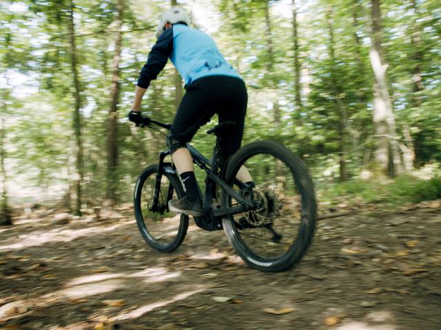 Mountainbiken in der Pfalz