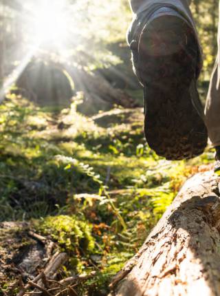 3 leichte Wanderungen ab Leinsweiler  Symbolfoto
